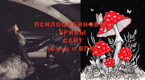тгк Алексин