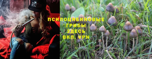 спайс Алзамай