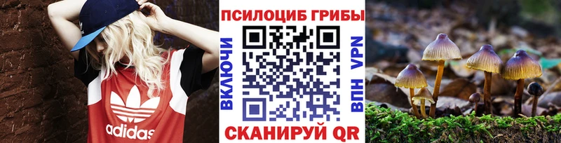 Купить закладки Ставрополь Галлюциногенные грибы ЛСД