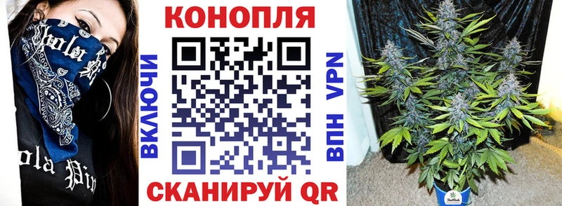 Канабис AK-47  Купить закладки  Ставрополь 